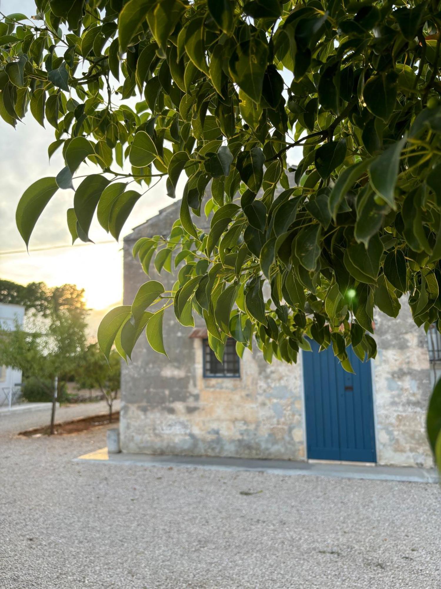 Tenuta Villa Vittoria Copertino Exterior foto